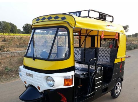 ई-रिक्षामुळे घोडे व्यावसायिकांवर गदा