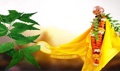 Gudi Padwa 2024: गुढी उतरवल्यानंतर कडुलिंबाच्या पानाचा 'असा' करा वापर