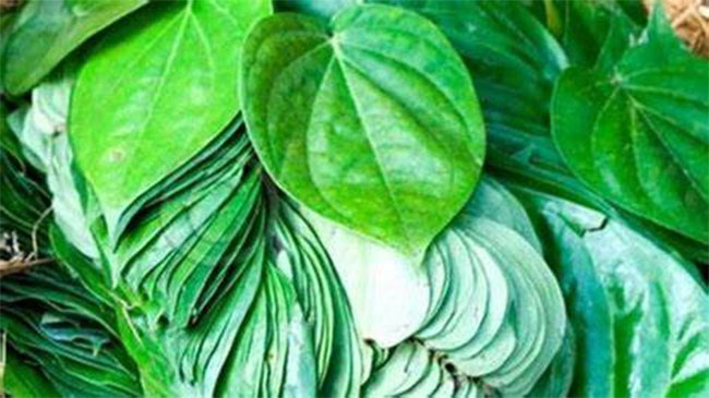 कळीदार…