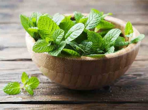 Mint Water: उन्हाळ्यात जरूर प्या पुदिनाचे पाणी, पोटाच्या या समस्येपासून मिळू शकतो आराम