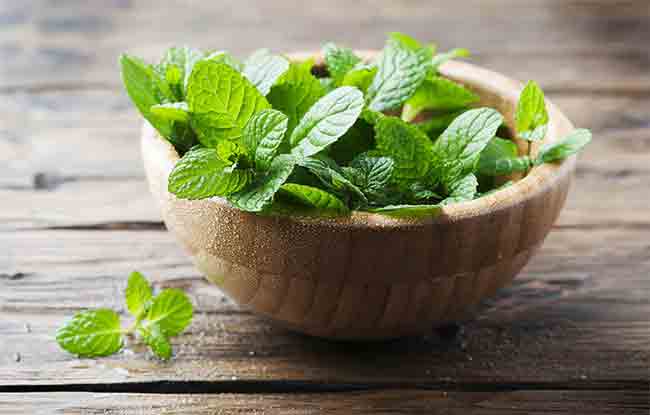 Mint Water: उन्हाळ्यात जरूर प्या पुदिनाचे पाणी, पोटाच्या या समस्येपासून मिळू शकतो आराम