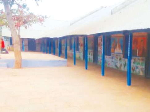 जिल्हा परिषद शाळांना संजीवनी कोण देणार?