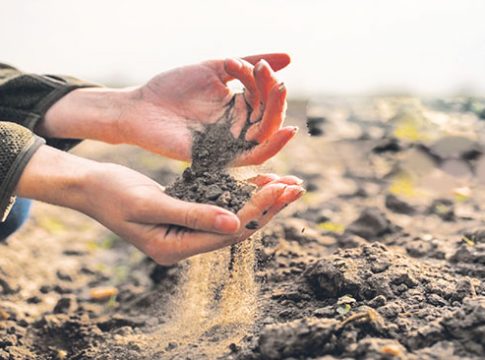 मूठभर माती