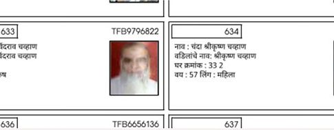 स्थानिक स्वराज्य संस्थाच्या मतदार यादीत तुमचं नाव आहे का? येथे शोधा...