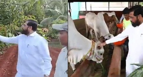 CM Eknath Shinde : परदेशी कशाला जायचं? गड्या आपला गाव बरा!