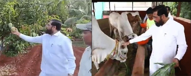CM Eknath Shinde : परदेशी कशाला जायचं? गड्या आपला गाव बरा!