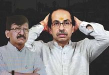 जय शहांचे नाव घेत शिंदे सेनेवर टीका करणा-या ठाकरेंच्या नेत्याला भाजपने सोलून काढले
