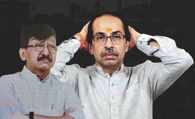 जय शहांचे नाव घेत शिंदे सेनेवर टीका करणा-या ठाकरेंच्या नेत्याला भाजपने सोलून काढले