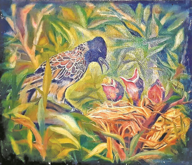 Birds : कुणी घर देता का रे घर? घर माझेच मला…