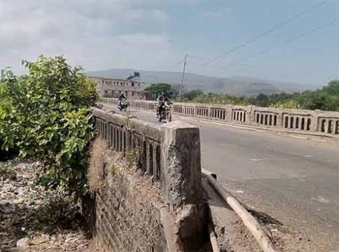 Majgaon News : मजगांव पुलाला झाडाझुडपांचा विळखा; सार्वजनिक बांधकाम विभागाचे दुर्लक्ष
