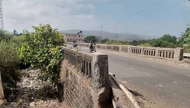 Majgaon News : मजगांव पुलाला झाडाझुडपांचा विळखा; सार्वजनिक बांधकाम विभागाचे दुर्लक्ष