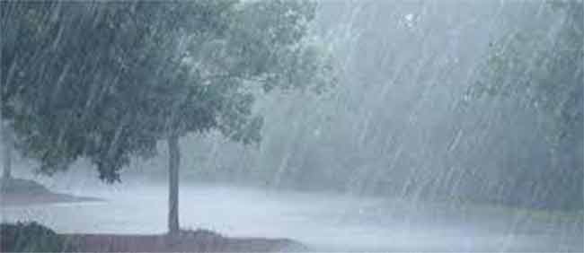weather update