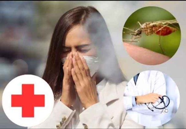 हवामान बदलामुळे रोगराईत वाढ