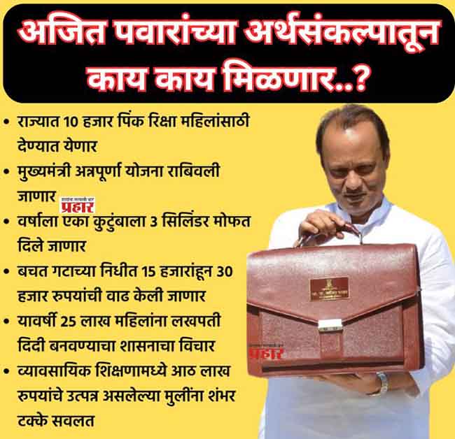 Maharashtra Budget 2024: विधानसभेत ‘माऊली’चा गजर, वारकरी, कष्टकरी आणि शेतकऱ्यांसाठी मोठ्या घोषणा