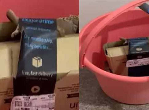 Amazon Parcel : धक्कादायक! अ‍ॅमेझॉनचे पार्सल उघडताच बाहेर आला विषारी साप
