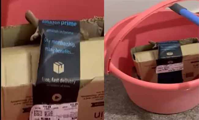 Amazon Parcel : धक्कादायक! अ‍ॅमेझॉनचे पार्सल उघडताच बाहेर आला विषारी साप