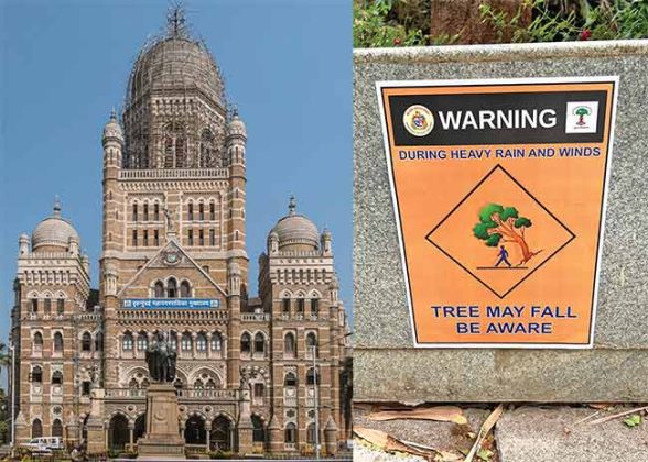 Mumbai Municipal : पावसात झाडाखाली वाहने उभी करू नका!