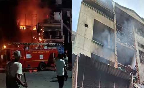 Delhi Fire : अग्नितांडव! दिल्लीतील फूड फॅक्टरीला भीषण आग