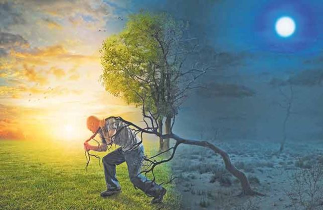 दाखल्यांची सृष्टी