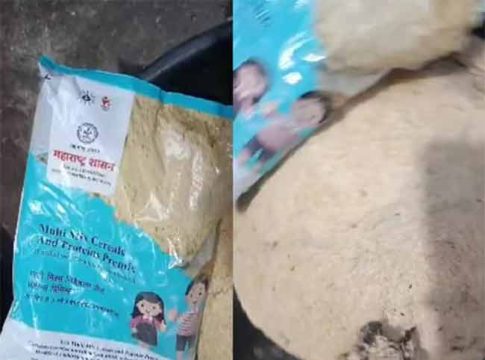 OMG : अरे बाप रे! शालेय पोषण आहारात आढळली मृत चिमणी