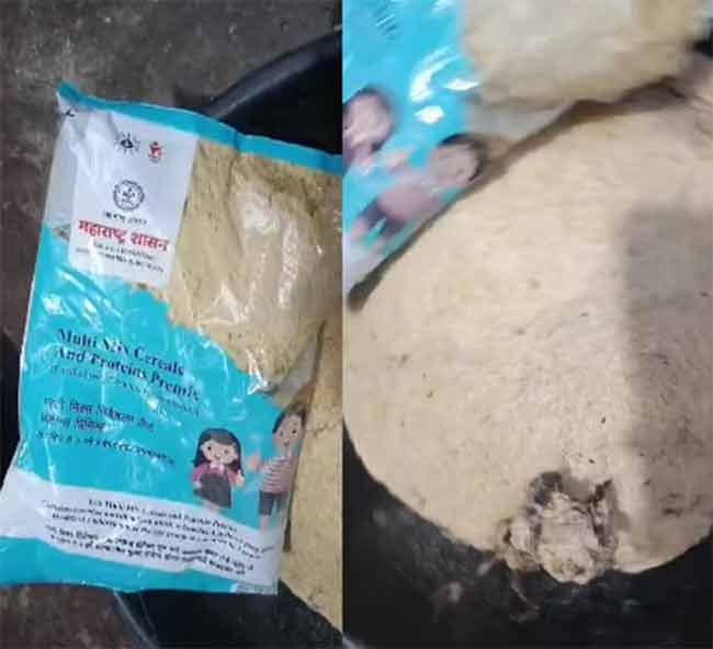OMG : अरे बाप रे! शालेय पोषण आहारात आढळली मृत चिमणी