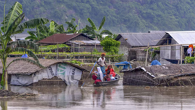 Assam Rain : आसाममध्ये पावसाचा हाहाकार! पुरामुळे ५२ लोकांनी गमावले प्राण