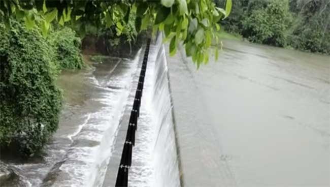 Mumbai Rain : मुंबईची पाण्याची चिंता मिटली! पाणीपुरवठा करणारं पहिलं धरण ओव्हरफ्लो