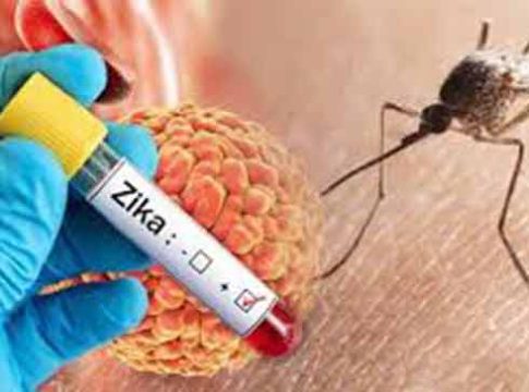 Zika Virus : पुण्यात झिकाचे थैमान! रुग्णांचा आकडा ६६वर; २६ गर्भवती महिलांचा समावेश