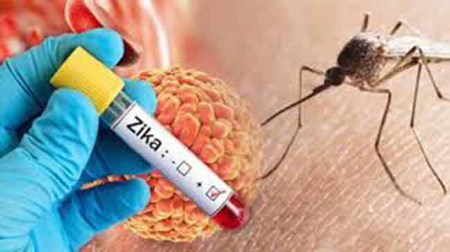 Zika Virus : झिकाचा वाढता थरार! राज्यभरात आठ जणांना व्हायरसचा प्रादुर्भाव