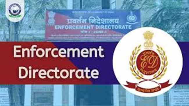 बाईक टॅक्सी चालकाच्या खात्यात ३३१ कोटी रुपये