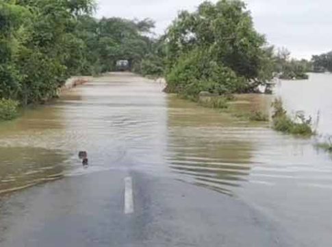 Maharashtra Rain : गडचिरोलीत पावसाचा हाहाकार! चौथ्या दिवशीही पूरजन्य स्थिती कायम