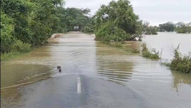 Maharashtra Rain : गडचिरोलीत पावसाचा हाहाकार! चौथ्या दिवशीही पूरजन्य स्थिती कायम