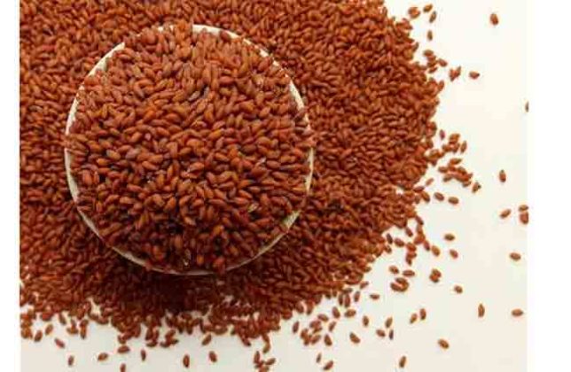 शरीरात रक्ताची कमतरता असल्यास दररोज एक चमचा खा अळीव