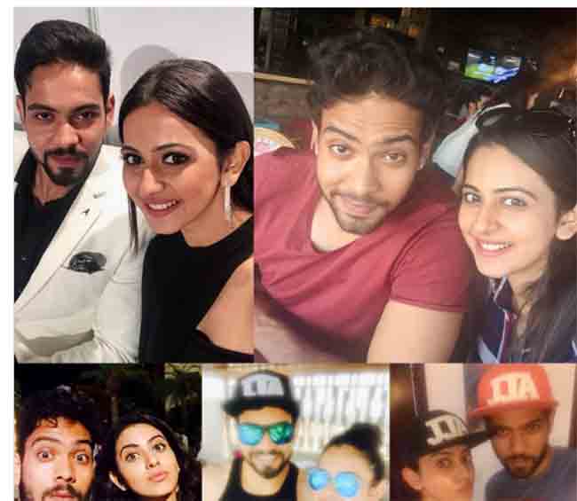 Rakul Preet Singh: रकुल प्रीत सिंह अमनला हैदराबाद पोलिसांनी केली अटक, ड्रग्स केसमध्ये कोर्टात करणार सादर