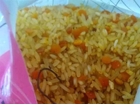 Nutrition Food : OMG! शालेय पोषण आहारात आढळले सापाचे पिल्लू