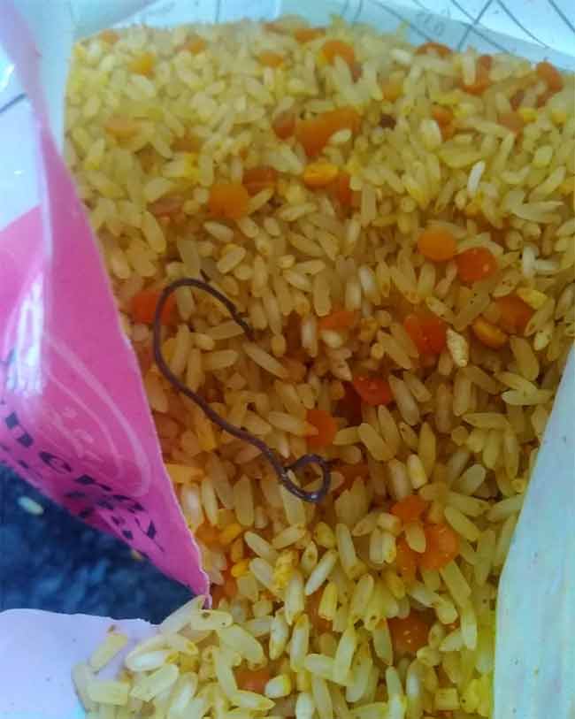 Nutrition Food : OMG! शालेय पोषण आहारात आढळले सापाचे पिल्लू