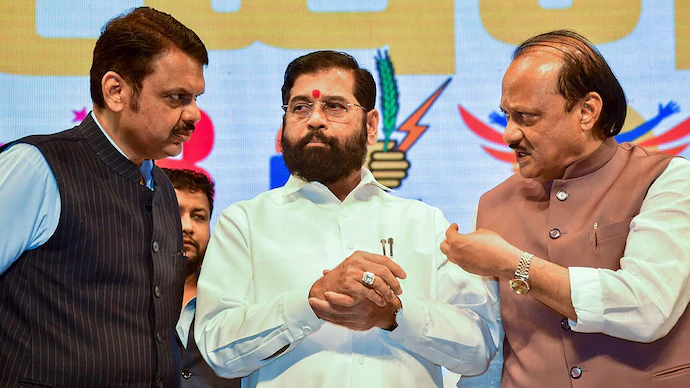 महायुतीचा निर्विवाद विजय