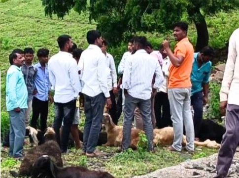 Beed news : बीडमध्ये भीषण रेल्वे अपघात! मेंढपाळासह २२ मेंढ्या आणि २ जनावरं पडली मृत्यूमुखी