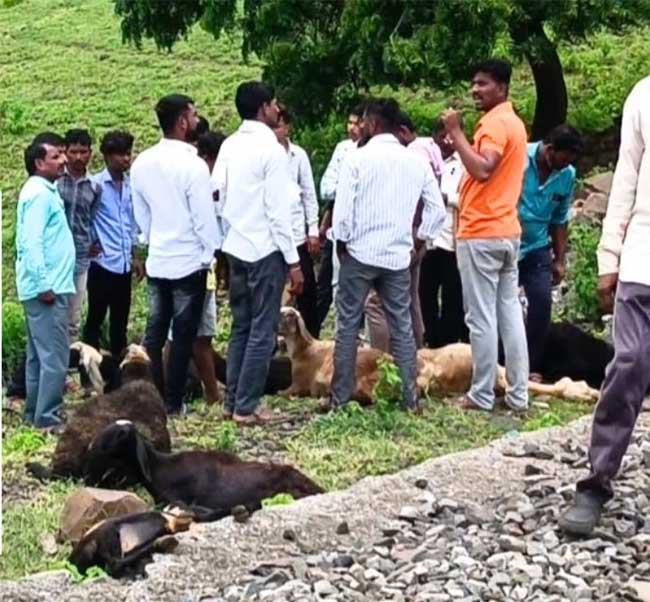 Beed news : बीडमध्ये भीषण रेल्वे अपघात! मेंढपाळासह २२ मेंढ्या आणि २ जनावरं पडली मृत्यूमुखी