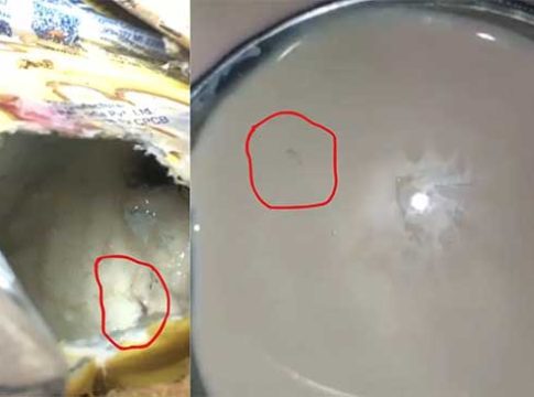 Pune news : पुण्याच्या आश्रम शाळेतील दुधामध्ये आढळल्या जिवंत अळ्या!