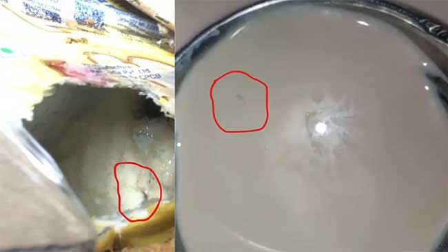 Pune news : पुण्याच्या आश्रम शाळेतील दुधामध्ये आढळल्या जिवंत अळ्या!