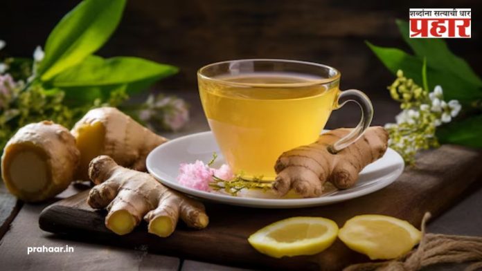 Ginger Water: दररोज रिकाम्या पोटी प्या आल्याचे पाणी, हे होतीत ‘५’ फायदे