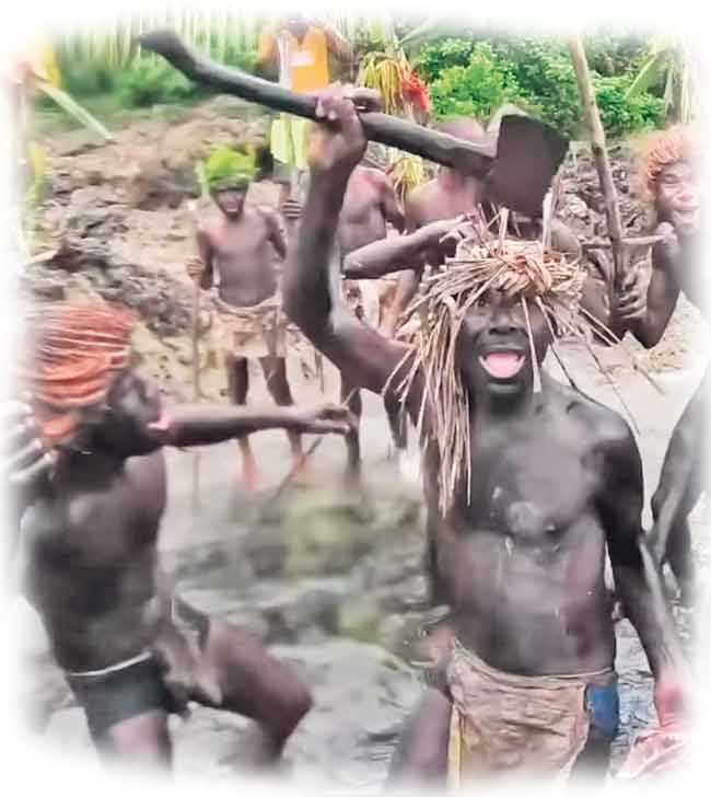 अ‍ॅमेझॉनची गुढगाथा (भाग ४)