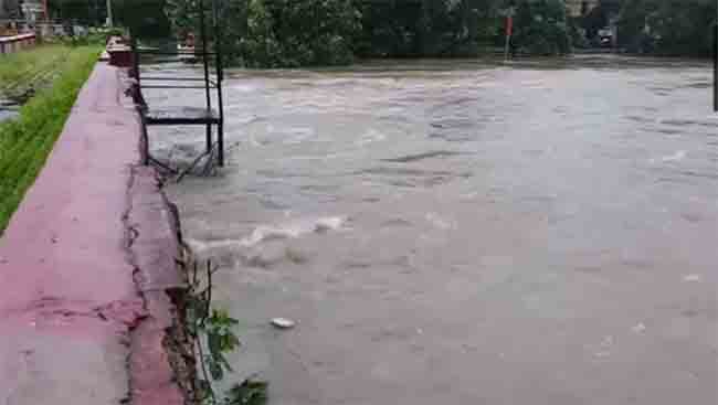 Rain: वाहने-घरे पाण्यात, गुजरातचे रस्ते बनले नद्या, हवामान विभागाकडून रेड अलर्ट