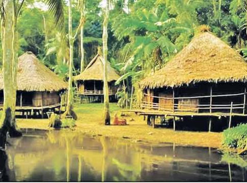 ॲमेझॉनची गुढगाथा !