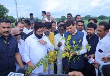 आपत्तीग्रस्त तालुक्यांसाठी विशेष मदत पॅकेज, सवलती लागू; पहा आपल्या तालुक्यातील शेतक-यांना काय मिळालं?