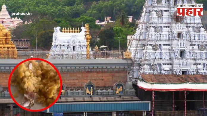 Tirupati Laddu : जनावराच्या चरबीनंतर आता तंबाखू? तिरुपती बालाजीच्या प्रसादाबाबत अजून एक VIDEO व्हायरल