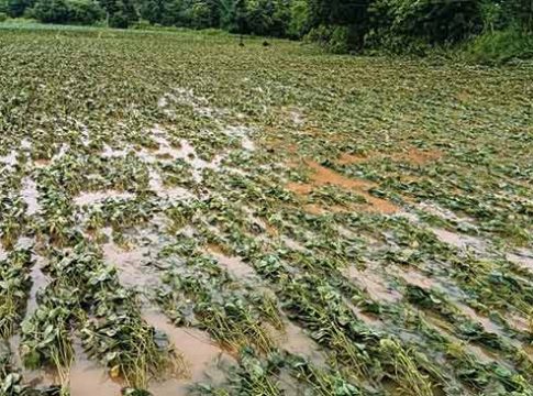Heavy Rain : परतीच्या पावसाने आणले बळीराजाच्या डोळ्यात पाणी!