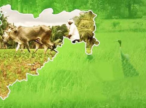 साडेसात दशकानंतरही कृषीक्षेत्र आजही डगमगतेय!