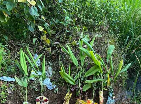 Photo gallery : भक्तिमय वातावरणात गौरी विसर्जनाचा सोहळा संपन्न